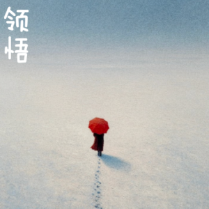 Insight XIV钢琴简谱 数字双手