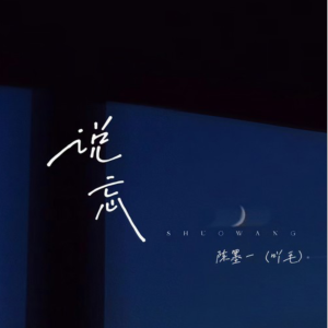 说忘钢琴简谱 数字双手