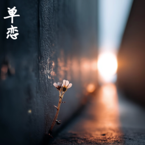 Luv Sic钢琴简谱 数字双手