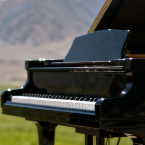 枫叶拉格泰姆钢琴简谱 数字双手