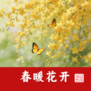 春暖花开钢琴简谱 数字双手 梁芒