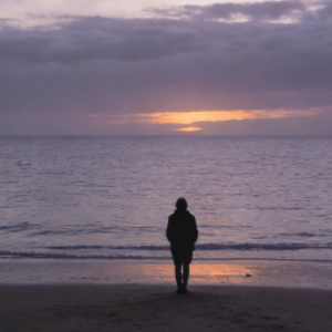 《日暮里》（电视剧《轧戏》插曲）-钢琴谱