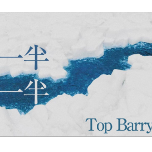 一半一半  C调简易版 Top Barry钢琴谱