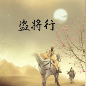 盗将行 简易钢琴弹唱伴奏 带歌词 花粥-钢琴谱