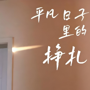 在平凡日子里的挣扎钢琴简谱 数字双手