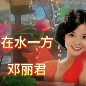 在水一方-邓丽君 C调独奏-钢琴谱