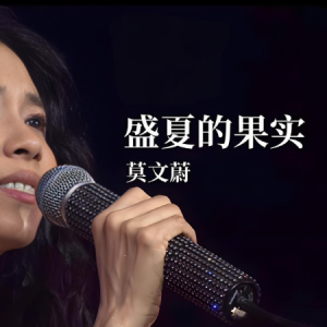 盛夏的果实-莫文蔚 C调独奏-钢琴谱