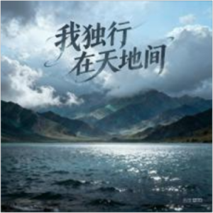 我独行在天地间钢琴简谱 数字双手