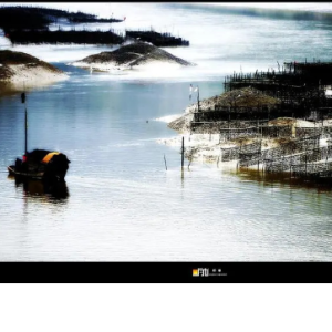 珊瑚颂钢琴简谱 数字双手