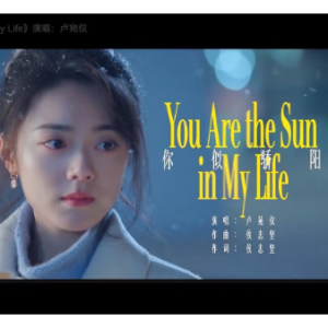 You Are the Sun In My Life  C调简易版 卢苑仪-钢琴谱