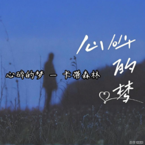 心碎的梦  简易版 卡带森林-钢琴谱