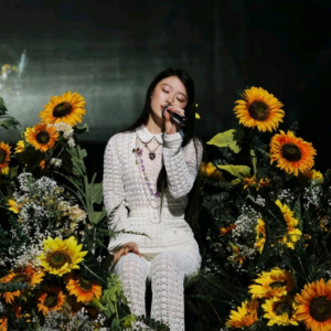 向日葵朝着夜钢琴简谱 数字双手 浦玉