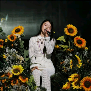 向日葵朝着夜钢琴简谱 数字双手 浦玉