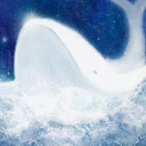 木鲸钢琴简谱 数字双手