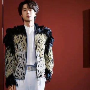 闪耀动起来钢琴简谱 数字双手