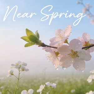 Near Spring钢琴简谱 数字双手