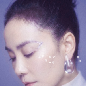 你我经历的一刻（完美独奏版附歌词，2026央视春晚） - 王菲【核时完整精编】