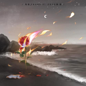 海屿你钢琴简谱 数字双手 Fanko