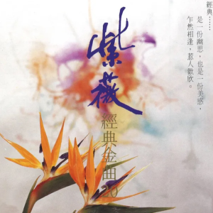 绿岛小夜曲钢琴简谱 数字双手 潘英杰