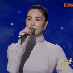 【弹唱谱】你我经历的一刻-2026马年春晚王菲翻唱版-钢琴谱