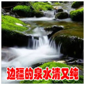 边疆的泉水清又纯钢琴简谱 数字双手