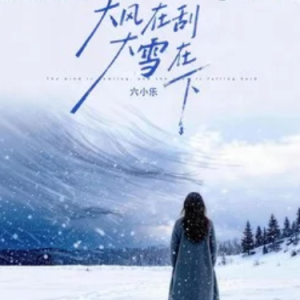 大风在刮大雪在下钢琴简谱 数字双手