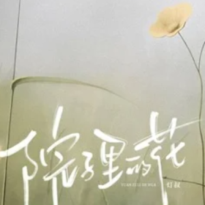 院子里的花  C调-钢琴谱