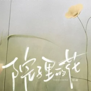 院子里的花  原调-钢琴谱