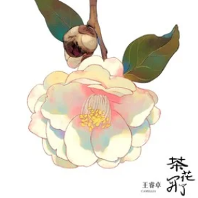 茶花开了钢琴简谱 数字双手