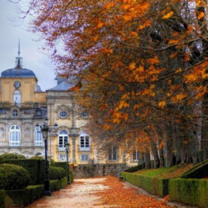 美丽的神话钢琴简谱 数字双手