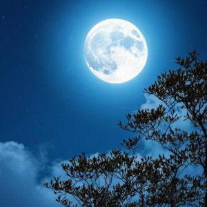 月亮翻过小山坡钢琴简谱 数字双手