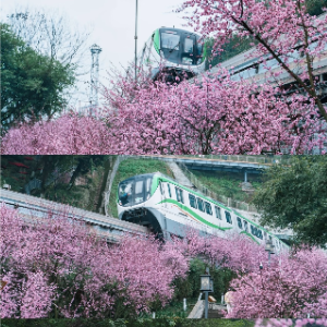 开往春天的地铁钢琴简谱 数字双手