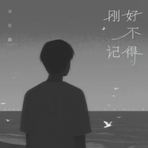 刚好不记得钢琴简谱 数字双手