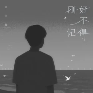 刚好不记得钢琴简谱 数字双手