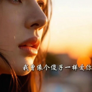 我曾像傻子一样爱你 C调简易版 任夏-钢琴谱