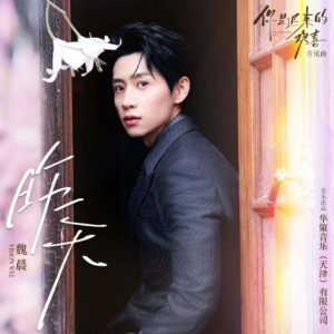 昨天(实用精华版/C调) <你是迟来的欢喜>电视剧片尾曲-钢琴谱