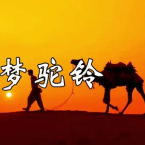 梦驼铃钢琴简谱 数字双手 小轩