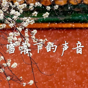 雪落下的声音钢琴简谱 数字双手