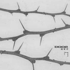 门钢琴简谱 数字双手