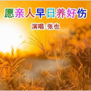 愿亲人早日养好伤钢琴简谱 数字双手