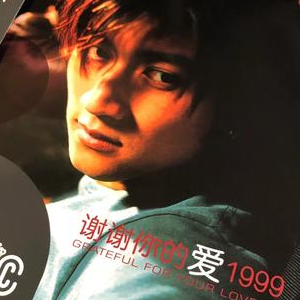 谢谢你的爱1999钢琴简谱 数字双手 林利南