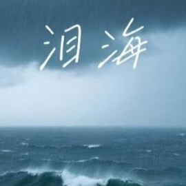 泪海钢琴简谱 数字双手