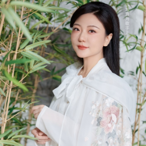 半壶纱钢琴简谱 数字双手