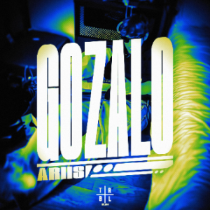 GOZALO钢琴简谱 数字双手 aris parrein