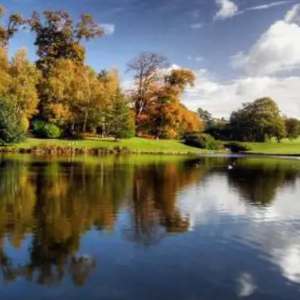 Annie's Wonderland钢琴简谱 数字双手