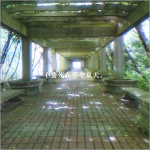 不要死在那个夏天钢琴简谱 数字双手