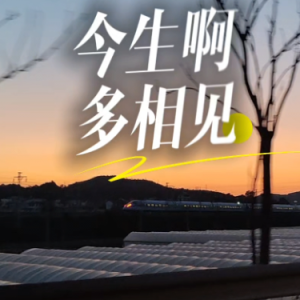 今生啊 多相见钢琴简谱 数字双手