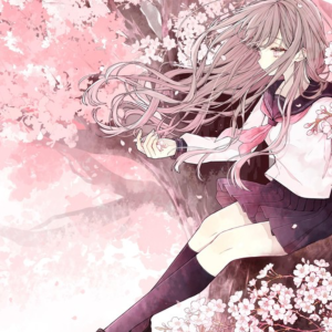 遇见你的那天，樱花开满南山钢琴简谱 数字双手 AnRain安林