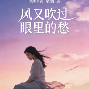 风又吹过眼里的愁钢琴谱