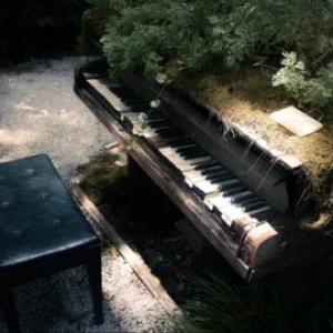 The King《最后攻势の小曲》植物大战僵尸僵王BGM-钢琴谱